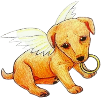 a dog angel